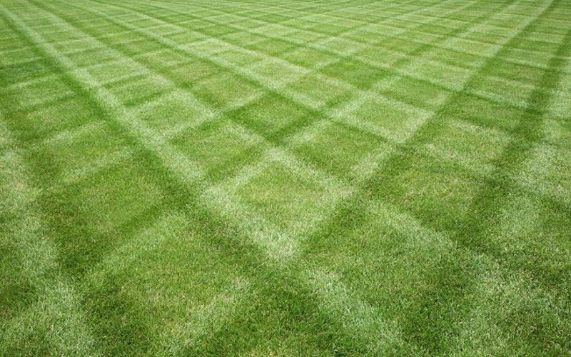 Lawn Care Maintenance- Mowing