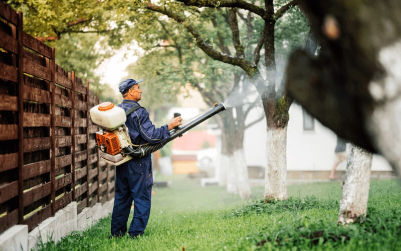 Professional Mosquito Control Service