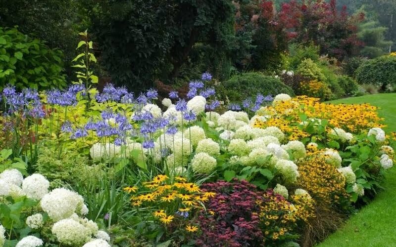Backyard Landscaping